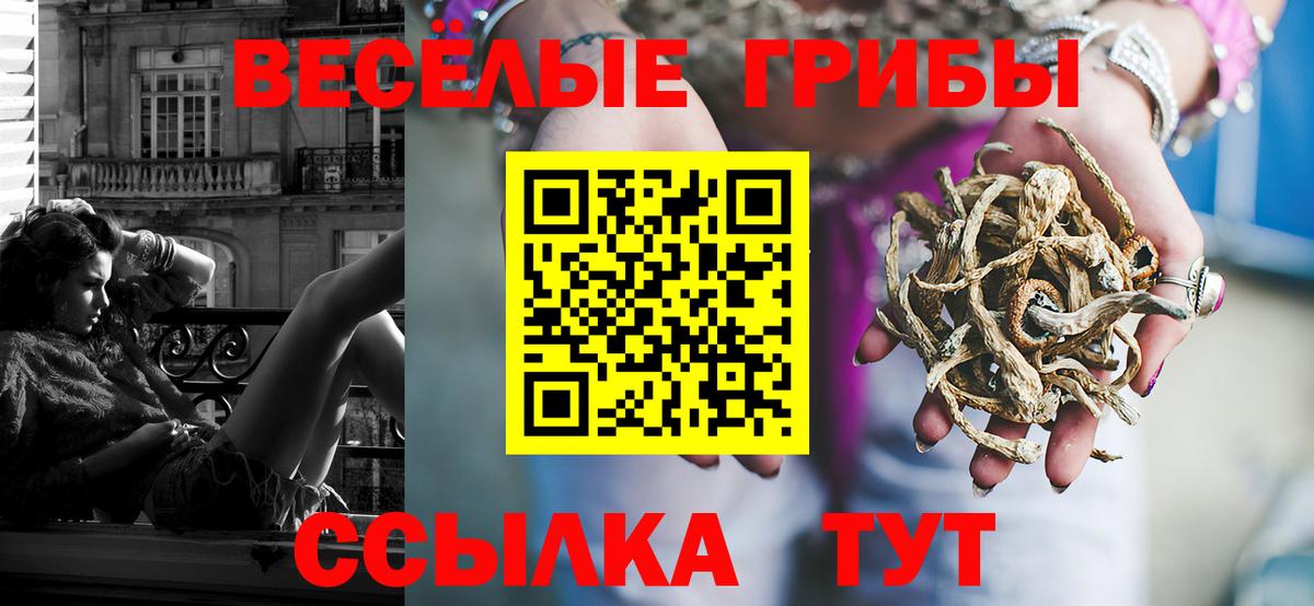 где можно купить наркотик  Вход с VPN  Кольчугино  Галлюциногенные грибы Cubensis  Галлюциногенные грибы Magic Shrooms 