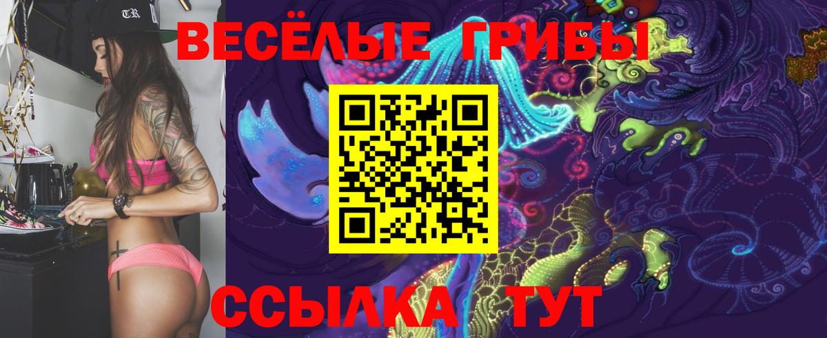 Галлюциногенные грибы Psilocybe Кольчугино